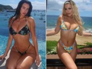 Stelle attractive in abiti a fiori Chi preferiresti?! La primavera è qui!