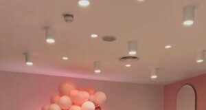 I fan di Rochelle Humes sono rimasti sorpresi dalla sontuosa festa di compleanno della figlia con un ospite speciale