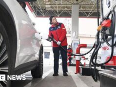 La Cina frena gli aumenti dei prezzi del carburante per “ridurre il peso” sugli automobilisti