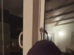 Il toccante video finale della star di Buffy the Vampire Slayer, Nicholas Brendon, prima della sua morte, mentre ripercorre il suo ruolo iconico