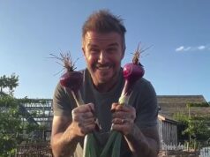 David Beckham è pronto a fare il suo debutto al Chelsea… no, non uscirà dalla pensione, ma svelerà il suo giardino al famoso Flower Present