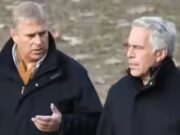Lo storico rivela perché Epstein perseguita ancora la famiglia reale: “Il problema è il governo britannico…”
