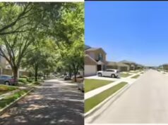 “Risparmia 5.000 dollari per lotto”: un submit virale rivela perché i costruttori americani vendono case senza alberi alle famiglie