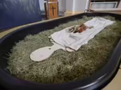 ‘Passaggio disgustoso’: il disegno di legge volto a trasformare i corpi umani in fertilizzanti si trova advert affrontare pesanti critiche da parte del rappresentante dell’Oklahoma Jim Shaw