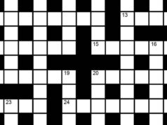 Il cruciverba della domenica indù n. 47