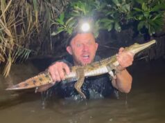 #TheMoment un australiano ha salvato un coccodrillo