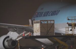 I cavalli “ancora muoiono” dopo i voli dal Canada al Giappone – e l’autorità di regolamentazione sembra non esserne a conoscenza