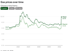 Il grafico mostra quanto paghi quando acquisti un litro di benzina