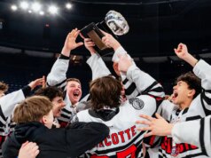Oui à une loi pour impegnere gli agenti advert avvicinare gli hockeyeurs a un trop jeune âge!