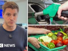 Guarda: Come la guerra in Iran può influenzare i prezzi del cibo e del carburante