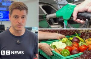 Guarda: Come la guerra in Iran può influenzare i prezzi del cibo e del carburante