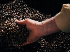 Sì, i tuoi chicchi di caffè potrebbero essere troppo freschi. Ho chiesto a un torrefattore qual è il momento migliore per macinare