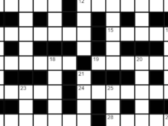 Il cruciverba della domenica indù n. 48