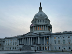 La guida per gli autostoppisti all’ostruzionismo parlante e alla legge SAVE