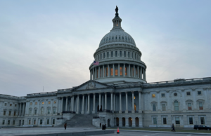 La guida per gli autostoppisti all’ostruzionismo parlante e alla legge SAVE