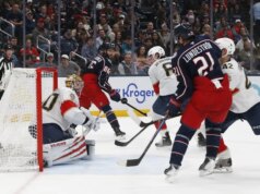 Le roventi giacche blu addomesticano le pantere che si azzuffano