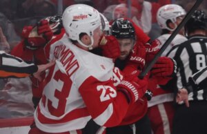 Il ribaltamento di Wings Eye in casa contro gli umili Flames