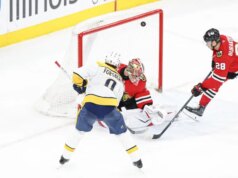 I predatori si scatenano con gli squali in città