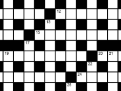 Il cruciverba della domenica indù n. 49