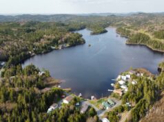 Gli ultimi laghi selvaggi dello Zec Jaro minacciati da colpi forestali