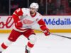 Les Purple Wings devono essere débrouiller senza Larkin