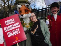 Abbasso questo genere di cose: la star di Padre Ted chiede il divieto della caccia alla volpe