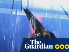 Recensione di Bouchra – Il coyote vestito da Prada è un alter ego anti-identitario in un movie che mappa l’esperienza queer