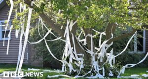 Insegnante americana uccisa dopo uno scherzo con la carta igienica andato storto