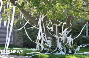 Insegnante americana uccisa dopo uno scherzo con la carta igienica andato storto