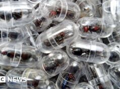 Arrestato un cittadino cinese che tentava di contrabbandare 2.000 formiche regine dal Kenya