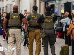 Gli agenti ICE si schierano nei principali aeroporti degli Stati Uniti mentre le code ai controlli di sicurezza si allungano per ore