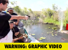 Lo streamer “Looksmaxxing” Clavicular apre il fuoco su Lifeless Alligator, in video