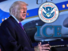Donald Trump minaccia di collocare agenti ICE negli aeroporti se il Congresso non finanzierà la TSA