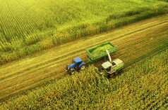 Punto di strozzatura globale: come la guerra USA-Israele contro l’Iran potrebbe far morire di fame milioni di persone