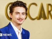 Il ragazzo d’oro di Hollywood Timothée Chalamet ha perso il suo splendore?