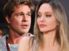 Brad Pitt lotta per grigliare l’oligarca russo nella guerra vinicola con Angelina Jolie