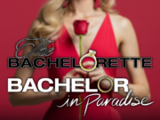 Uomini “addio al nubilato” presi in considerazione per “Bachelor in Paradise”, nonostante la cancellazione