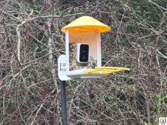 I saldi primaverili di Amazon fioriscono con le mangiatoie per uccelli intelligenti