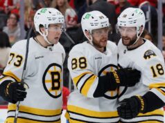 I Bruins hanno battuto i Purple Wings per una vittoria decisiva nella corsa ai playoff