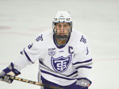 I Jets firmano l’attaccante Lucas Wahlin con un contratto di un anno a due