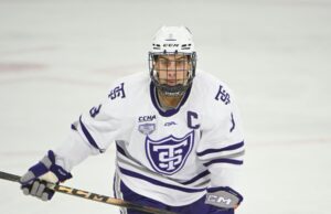 I Jets firmano l’attaccante Lucas Wahlin con un contratto di un anno a due