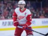 Dylan Larkin dei Crimson Wings potrebbe tornare contro i Senators, cube l’allenatore