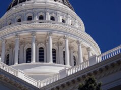 I information middle si preparano: il Senato vuole vedere le tue bollette elettriche