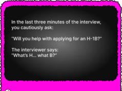 Un nuovo gioco trasforma il sistema dei visti H-1B in una simulazione surreale