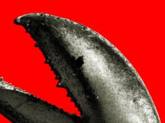 Il growth cinese di OpenClaw è una corsa all’oro per le aziende di intelligenza artificiale