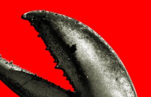 Il growth cinese di OpenClaw è una corsa all’oro per le aziende di intelligenza artificiale