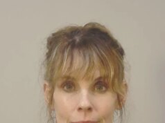 L’icona di Baywatch arrestata dopo aver liberato dei beagle dagli allevatori di laboratorio