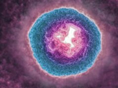 Il virus dell’herpes zoster potrebbe farti invecchiare più rapidamente
