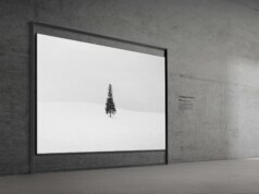 Samsung afferma che i suoi televisori Micro RGB probabilmente non miglioreranno il ciclo del sonno