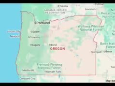 Jahangeer Ali stava fuggendo in Pakistan attraverso la Turchia, arrestato a Los Angeles; gestiva un laboratorio falso in Oregon